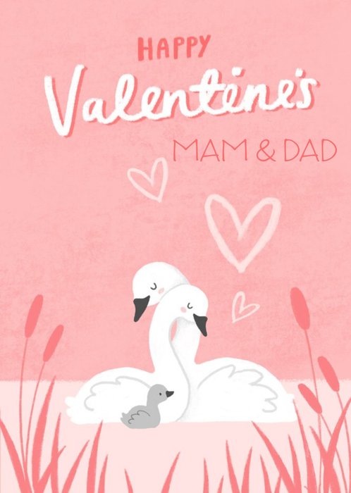 Millicent Venton Illustrated Swan's Valentine's Day Card