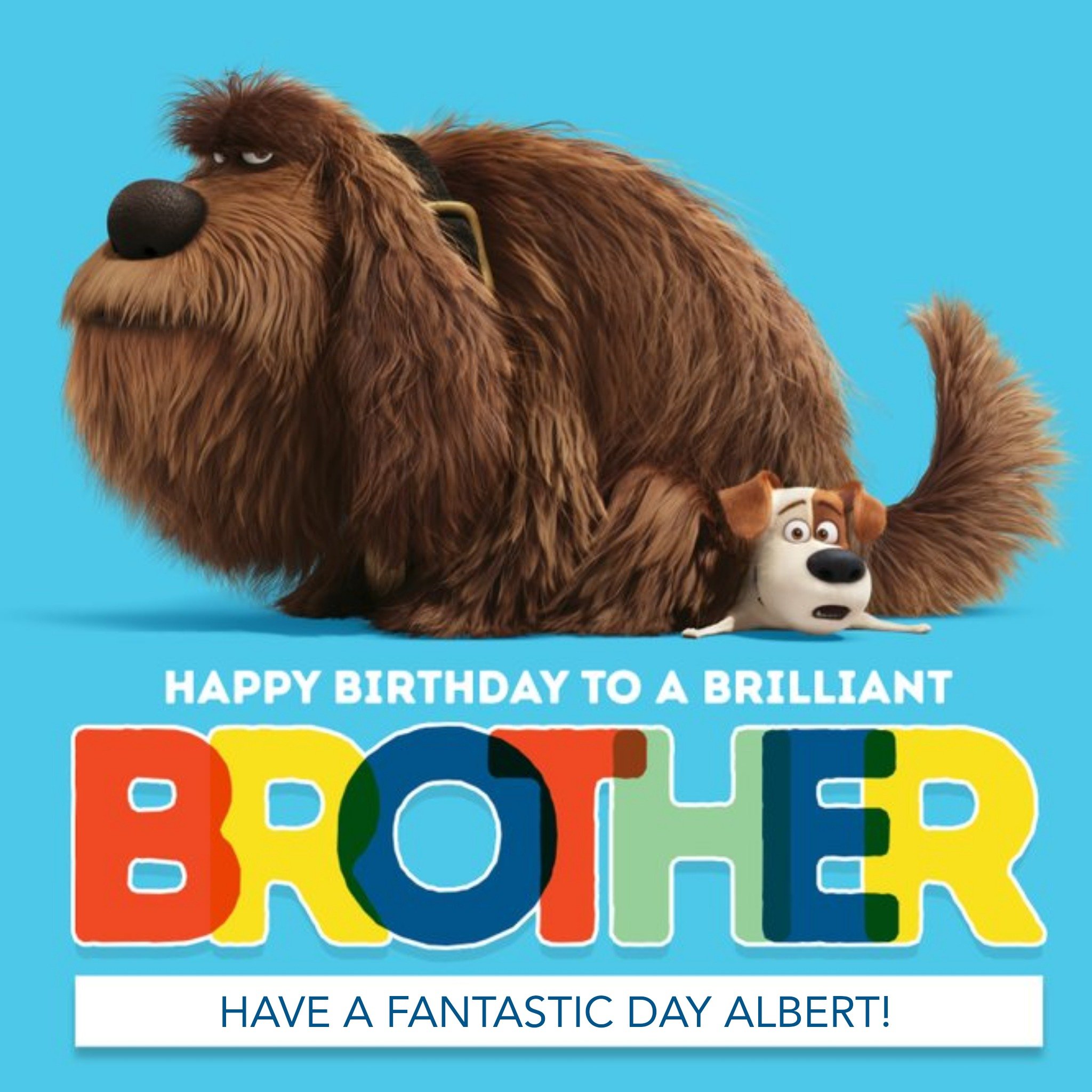 Moonpig The Secret Life Of Pets Happy Birthday Brother Card, Large