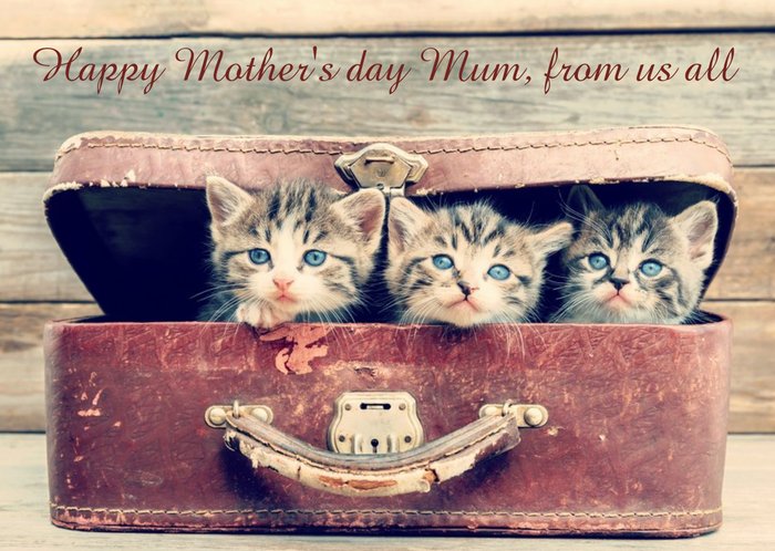 Trio of Kittens Vintage Effect mothers Day Card