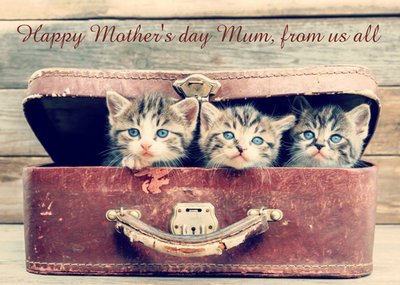 Trio of Kittens Vintage Effect mothers Day Card