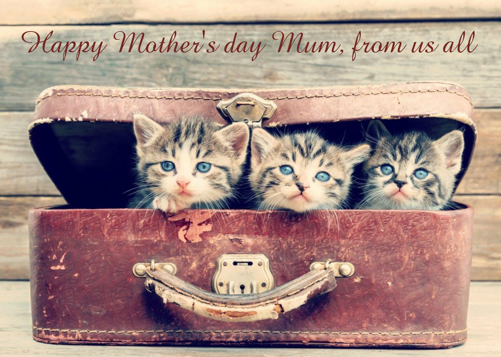 Moonpig Trio Of Kittens Vintage Effect Mothers Day Card Ecard