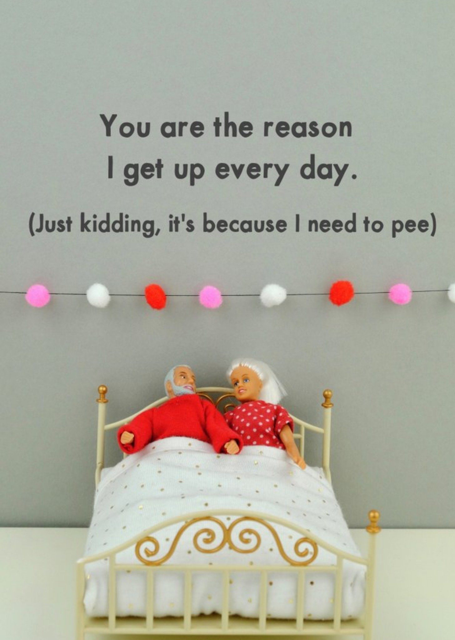 Bold And Bright Funny Dolls The Reason I Get Up Everyday Card Ecard