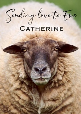 Harmonia Ireland Photo of Sheep Sending Love to Ewe Card