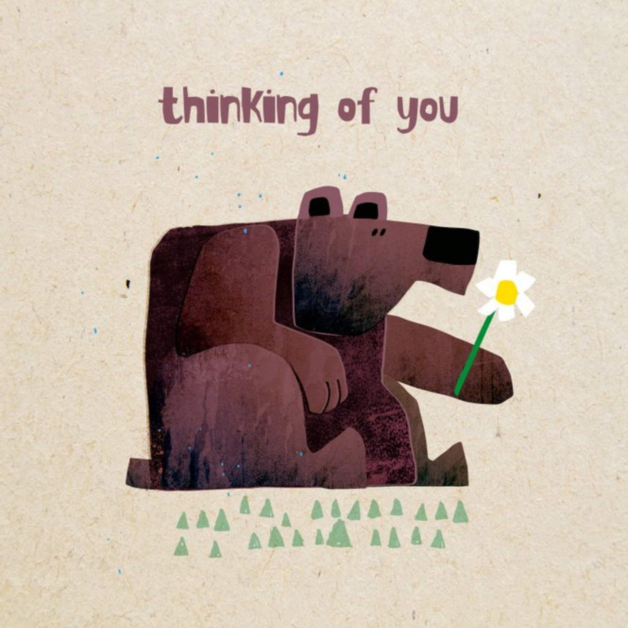 Illustrated Bear Daisy Thinking Of You Card, Square