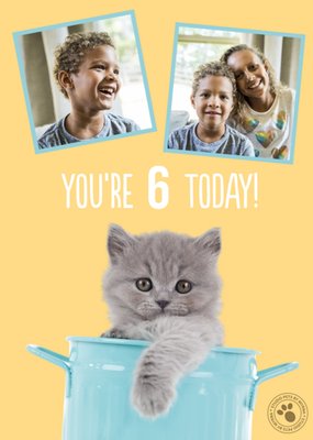 Studio Pets Kitten 6 Today Photo Upload Birthday Card