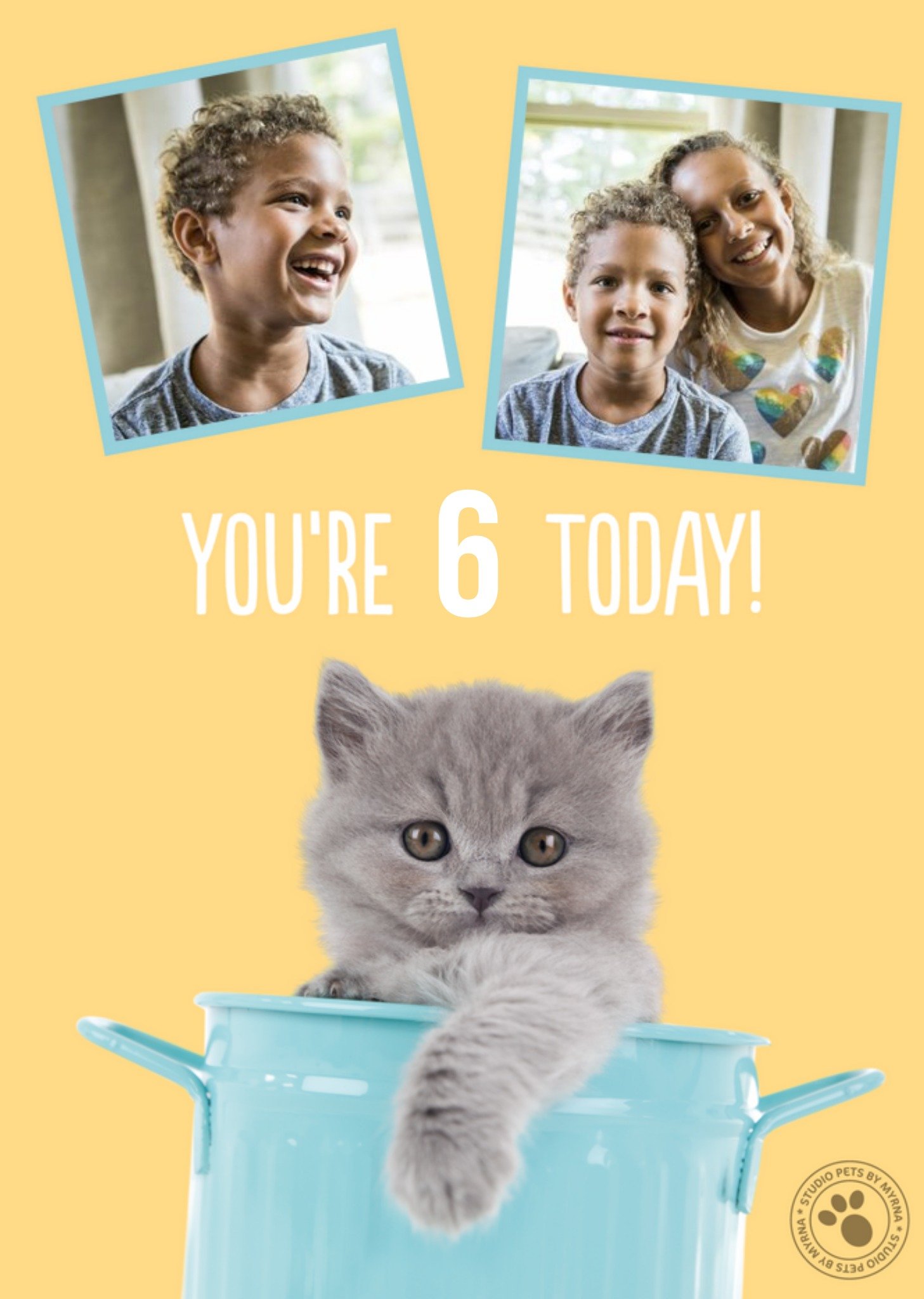 Studio Pets Kitten 6 Today Photo Upload Birthday Card, Large