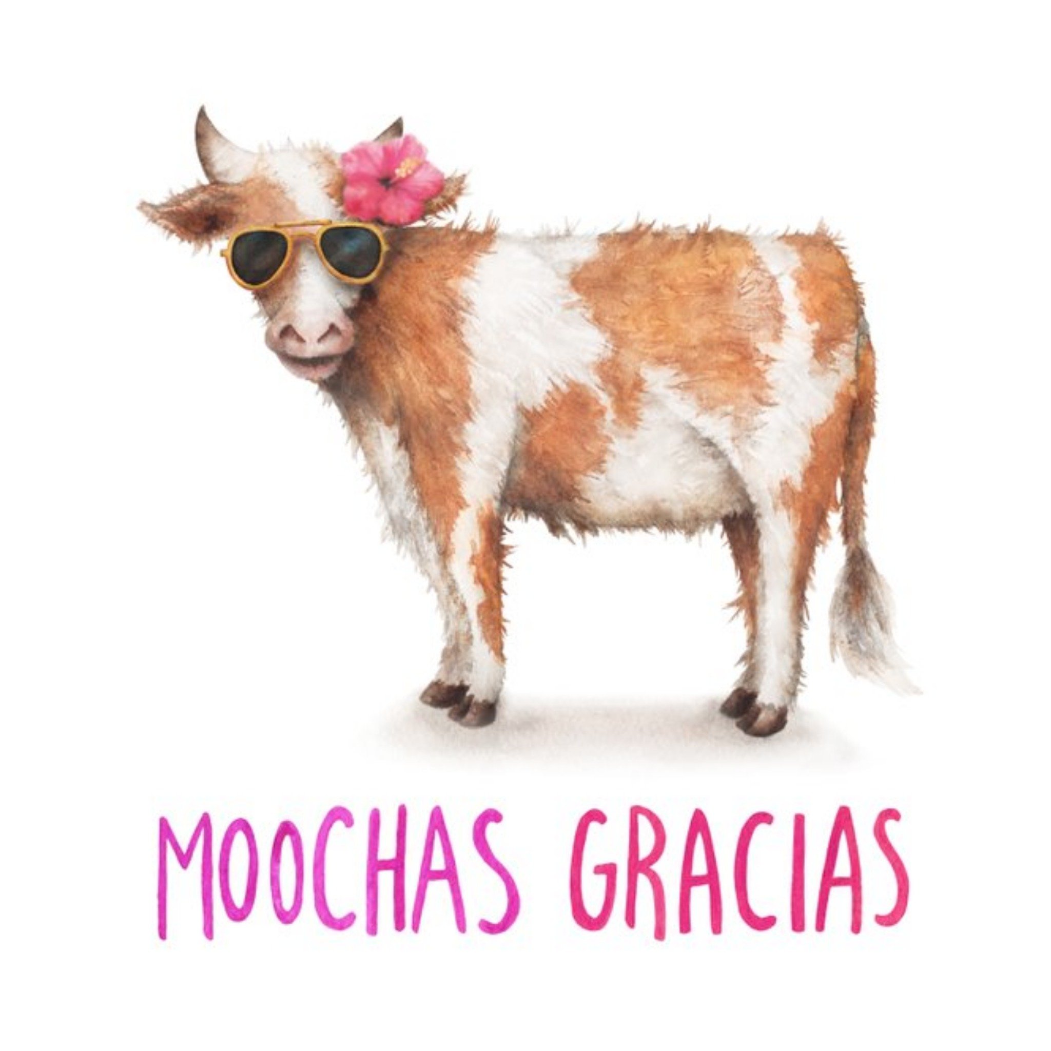 Cow Moochas Gracias Card, Square