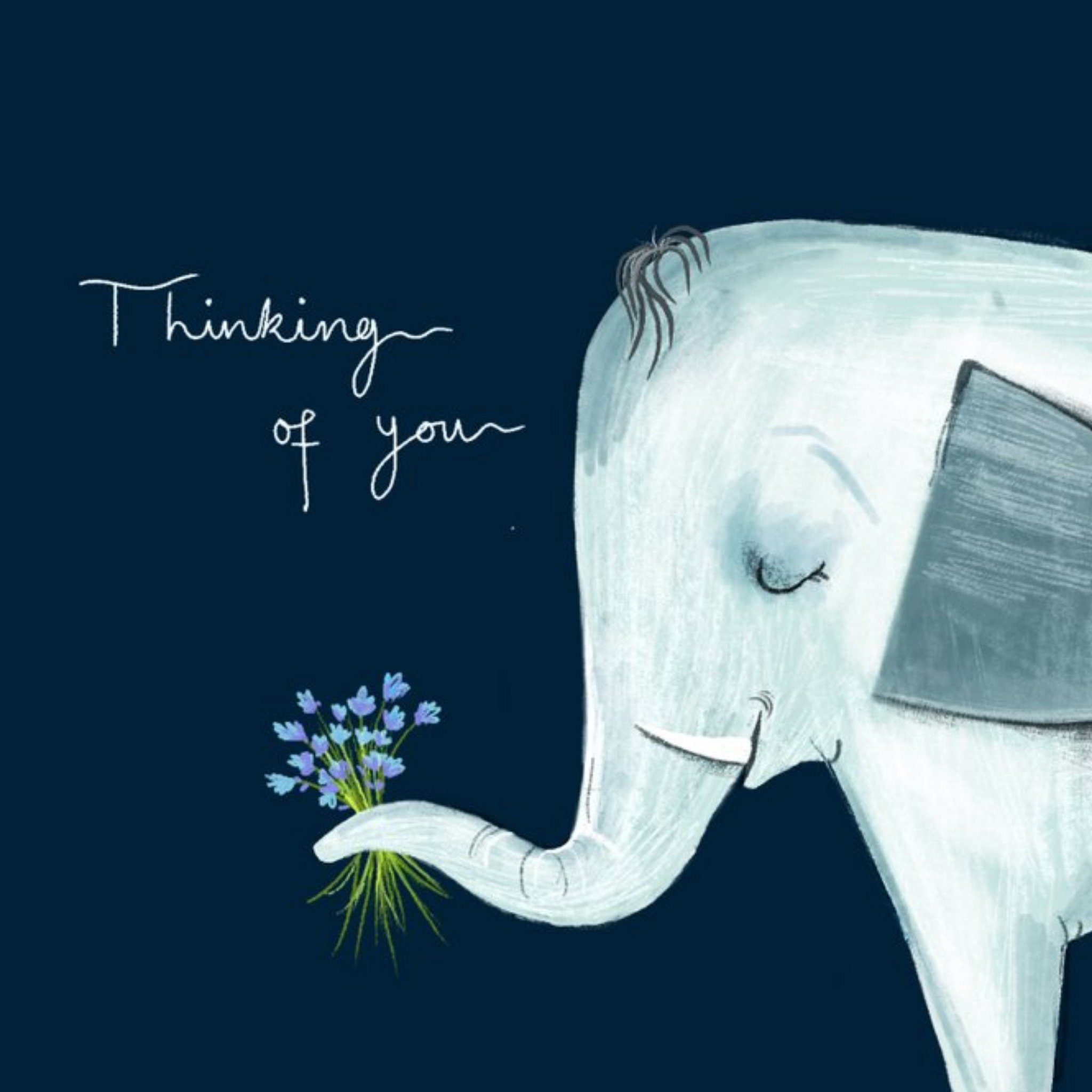 Katie Hickey Illustrated Thinking Of You Elephant Adult Kid Teen Cute Card, Square