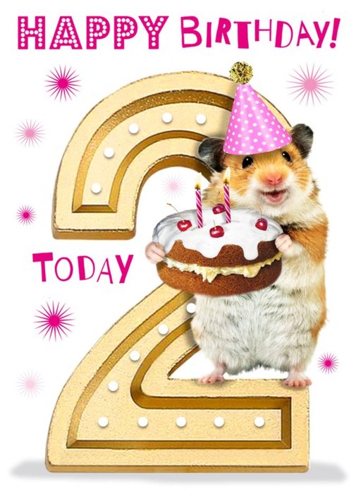 Cute Hamster With Cake 2nd Birthday Card