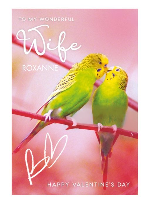 Animal Planet Budgerigar Wonderful Wife Valentine's Day Card