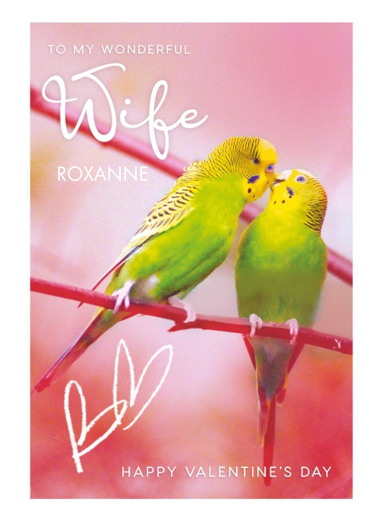 Animal Planet Budgerigar Wonderful Wife Valentine's Day Card Ecard