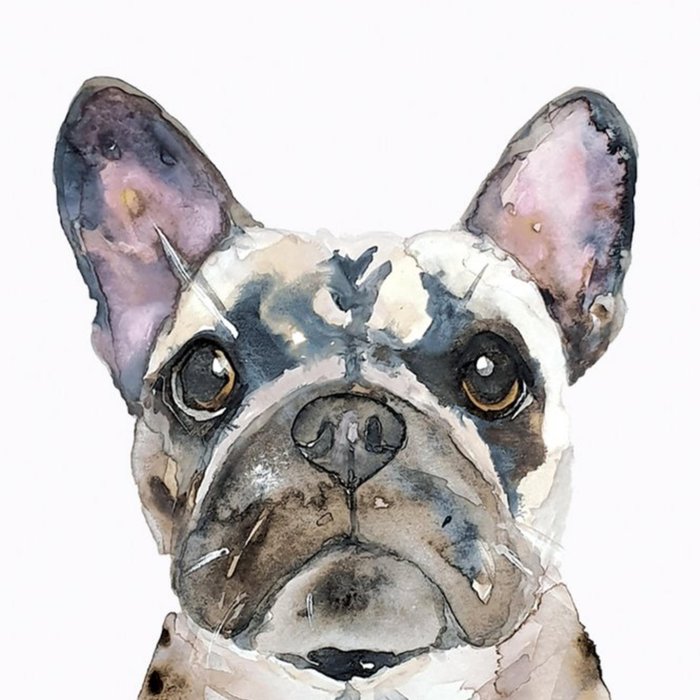 Illustrated Watercolour French Bulldog Just A Note Card