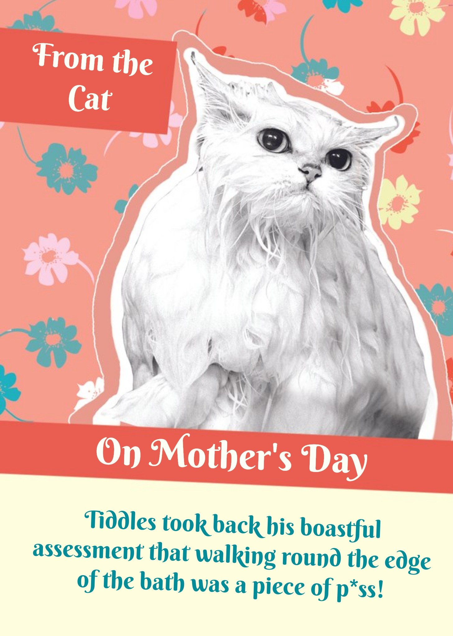 From The Cat On Mothers Day Card Ecard