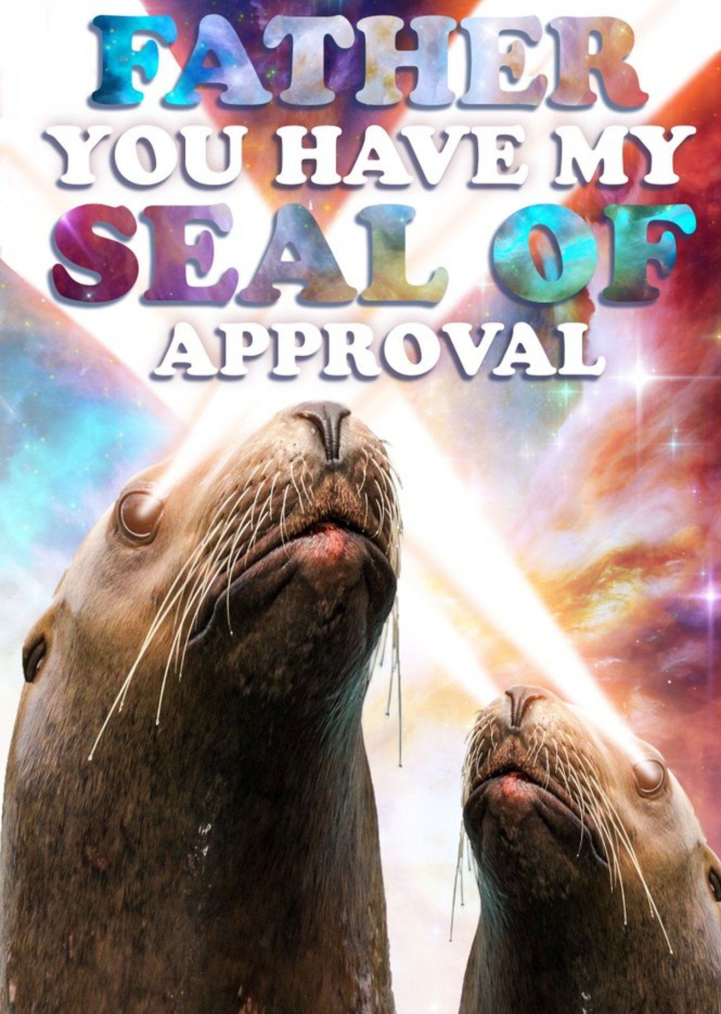 Cosmic Lights You Have My Seal Of Approval Funny Pun Father's Day Card Ecard