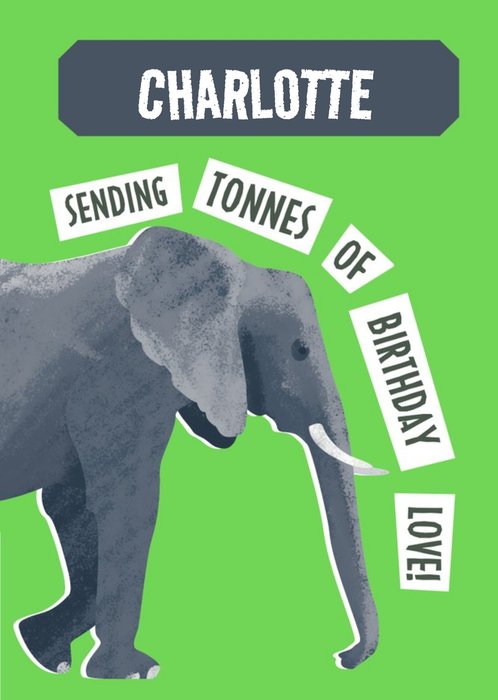 Natural History Museum Sending Tonnes Of Birthday Love Elephant Birthday Card