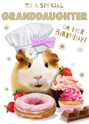 To A Special Granddaughter Birthday Guinea Pig Card