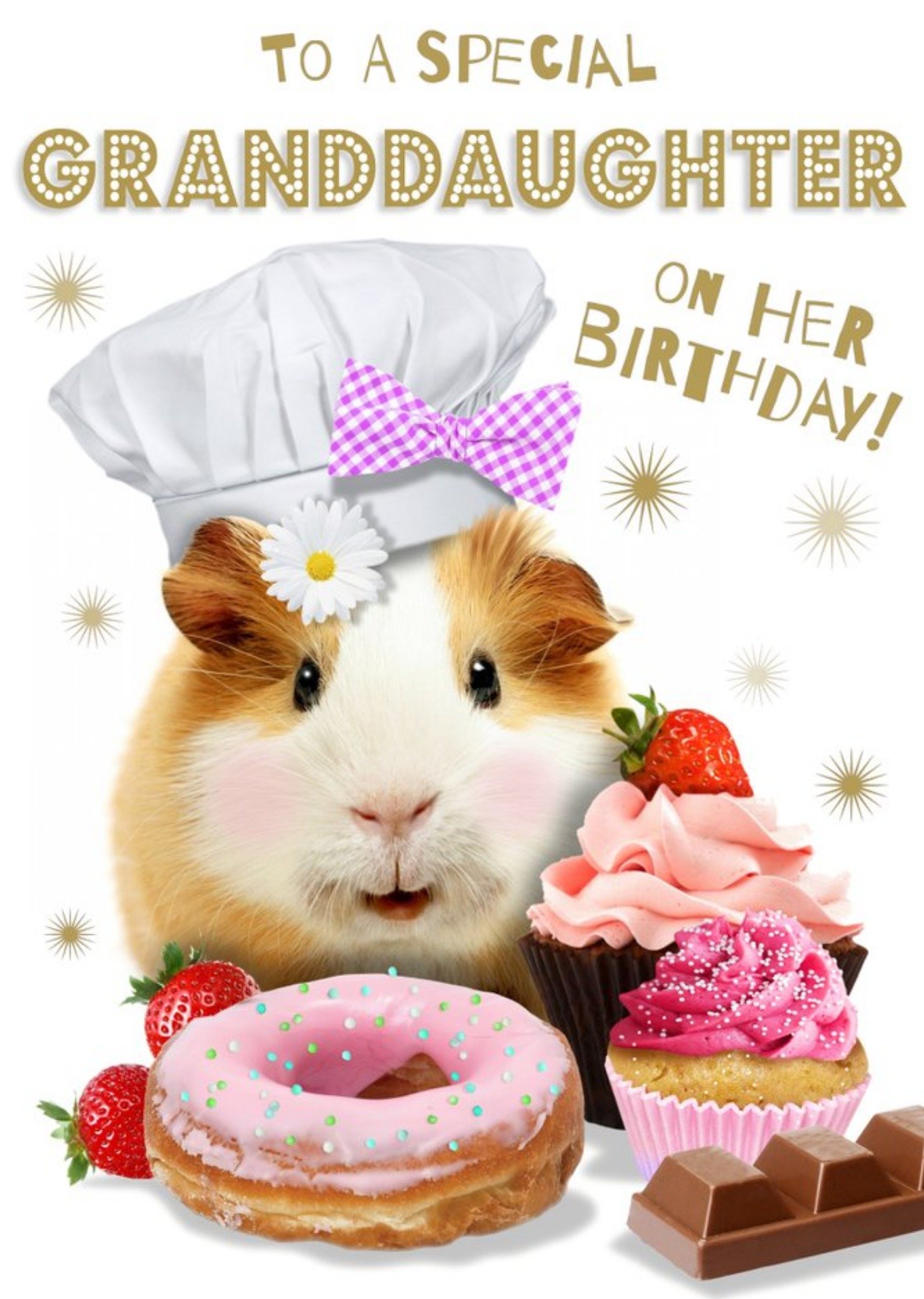 To A Special Granddaughter Birthday Guinea Pig Card Ecard