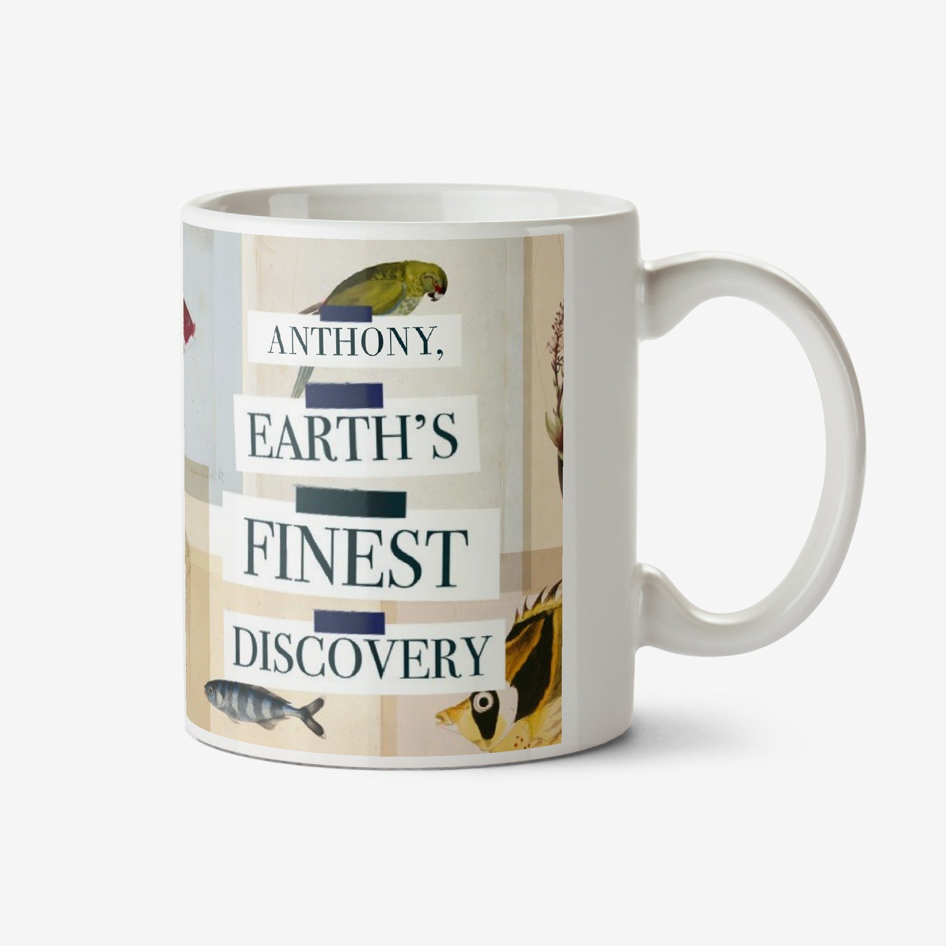 The Natural History Museum Natural History Museum Finest Discovery Mug Ceramic Mug