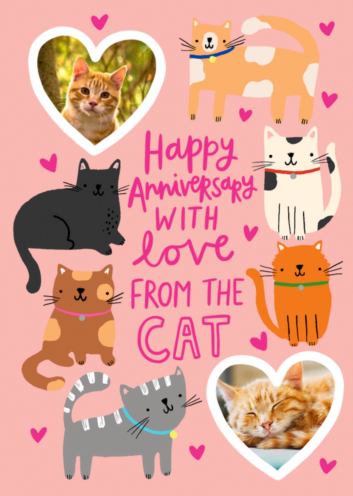 Moonpig Illustration Of Various Cats From The Cat Photo Upload Anniversary Card Ecard