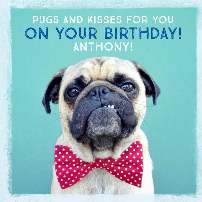 Pugs And Kisses For Your Birthday Card