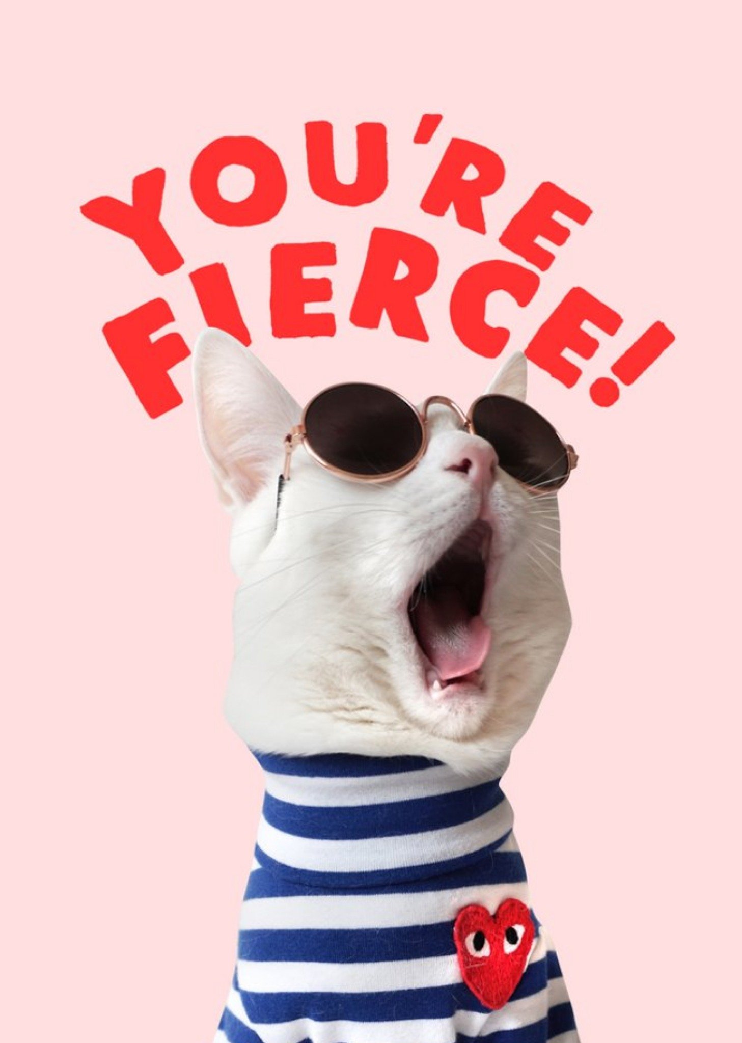 Jolly Awesome You're Fierce Funny Cat Card, Large
