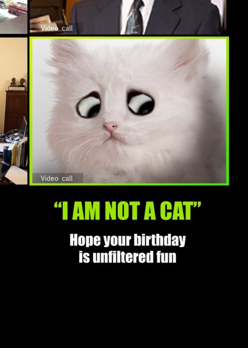 I Am Not A Cat Card
