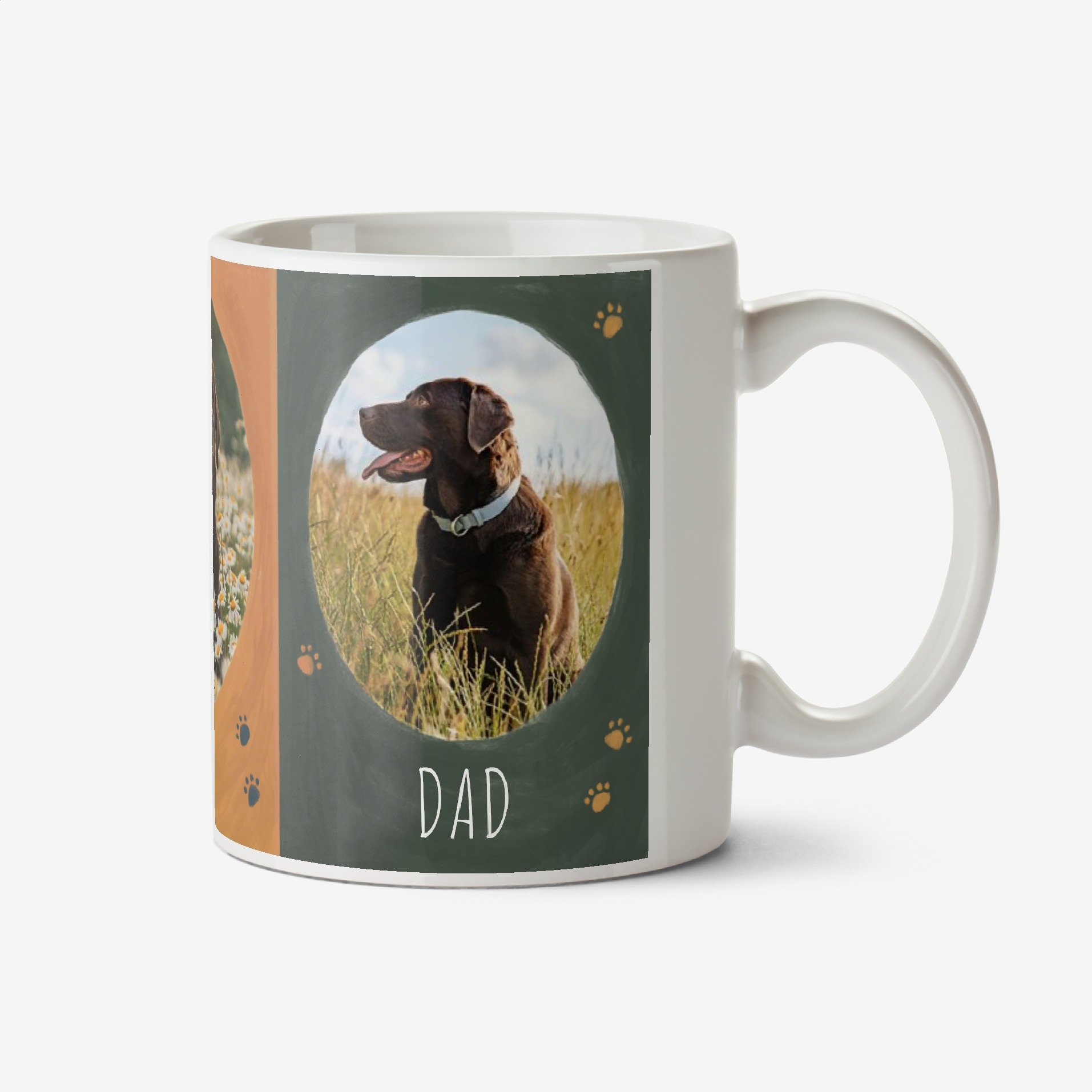 Handpainted Design Best Dog Dad Photo Upload Mug Ceramic Mug