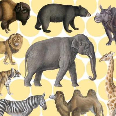 Elephants And Animals Card