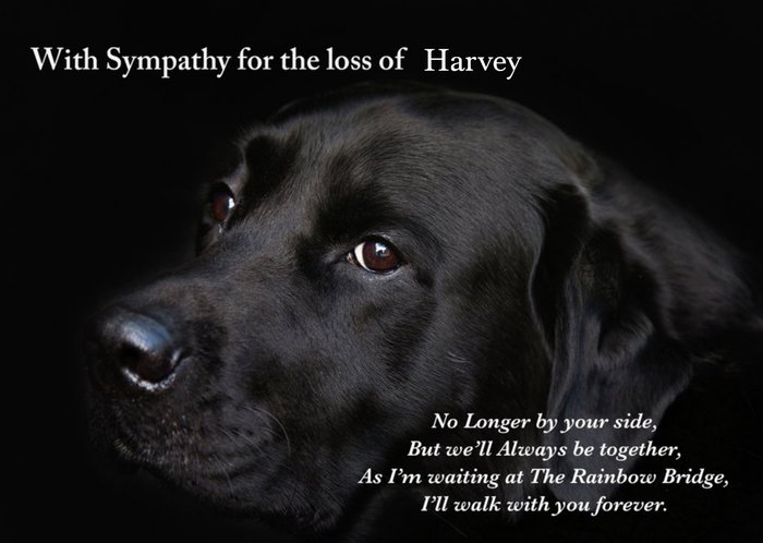 Photographic Dog Customisable Sympathy Card