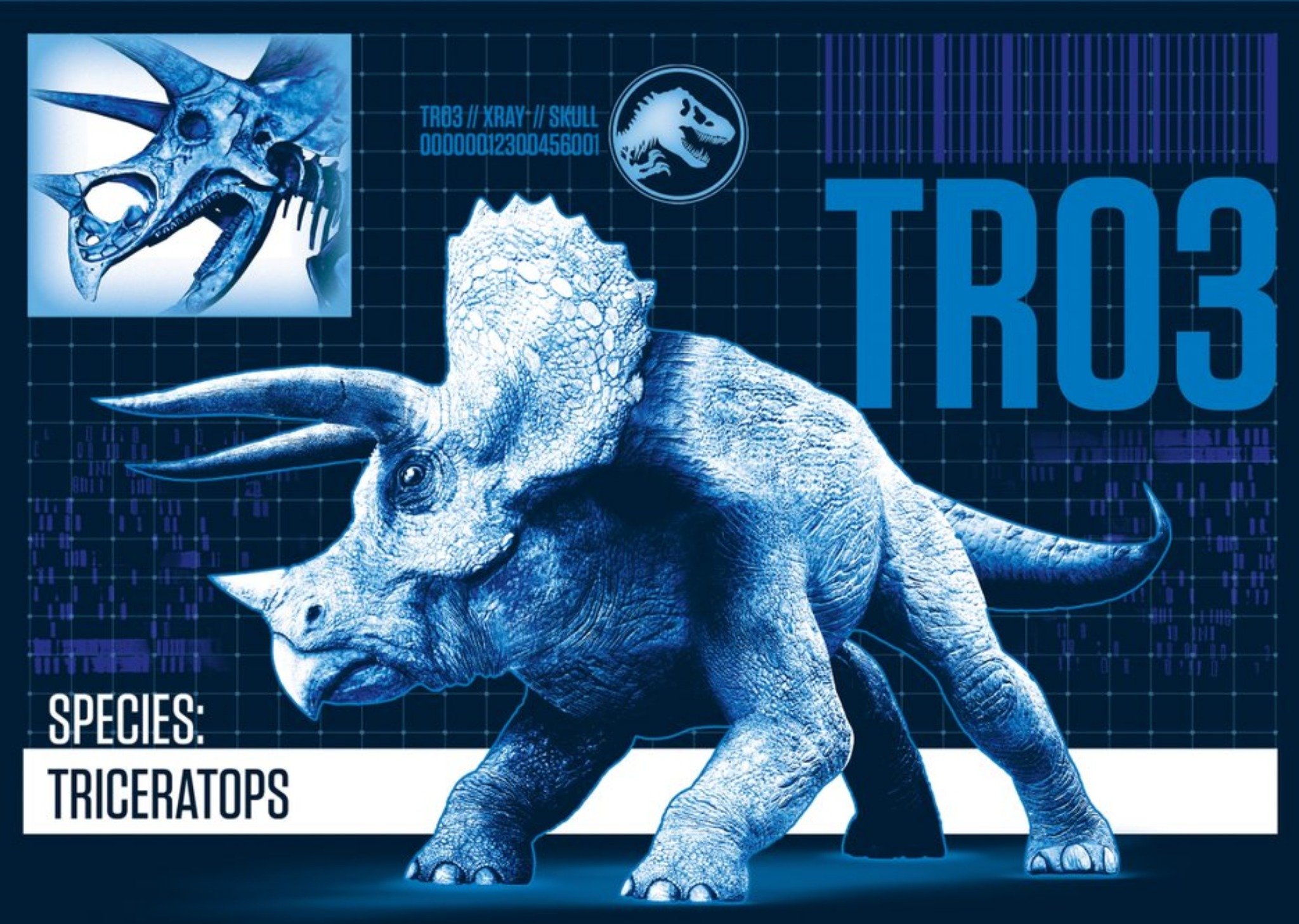 Birthday Card - Dinosaurs - Jurassic World - Triceratops, Large