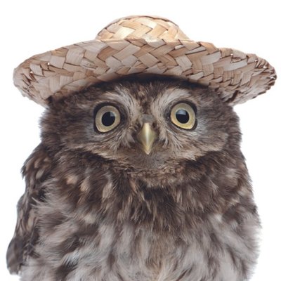 Cute Owl In Straw Hat Personalised Greetings Card