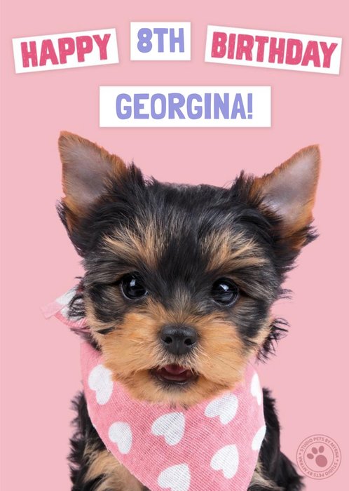 Studio Pets Birthday Card Yorkshire Terrier Puppy with a Handkerchief