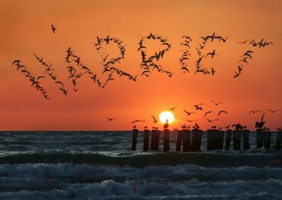 Name Spelt In Birds At Sunset Personalised Card