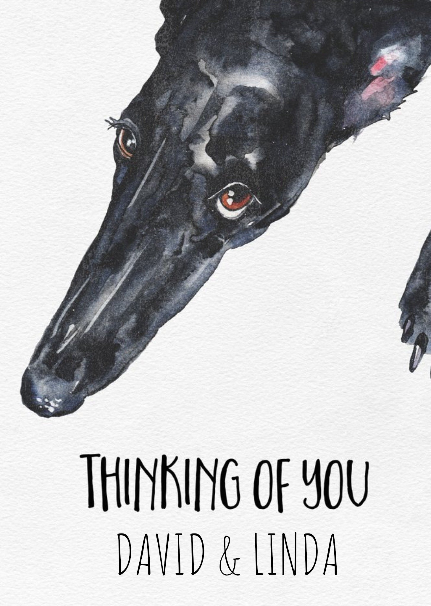 Jo Scott Art Illustrative Greyhound Thinking Of You Card Ecard