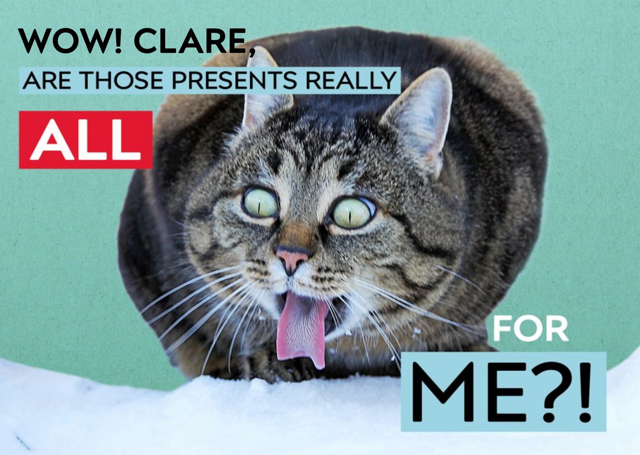 Moonpig All For Me Greedy Cat Christmas Card Ecard