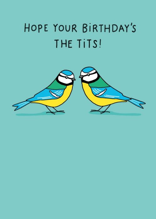 Hope Your Birthday Is The Tits Card