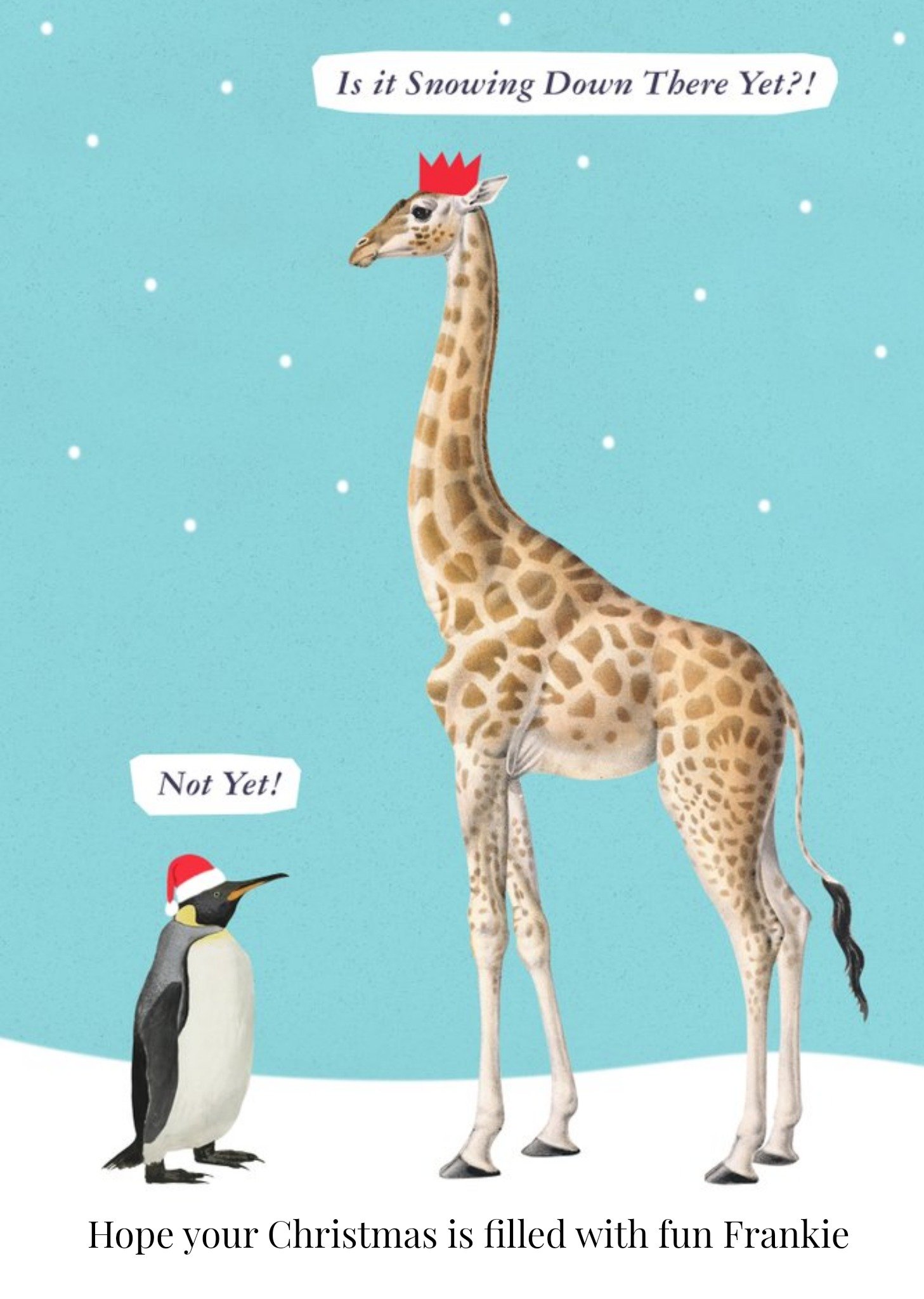 The Natural History Museum Giraffe And Penguin Height Joke Personalised Christmas Card, Large