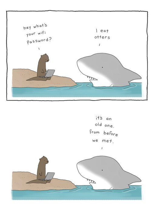 Modern Funny Illustration Shark And Otter Wifi Password Card
