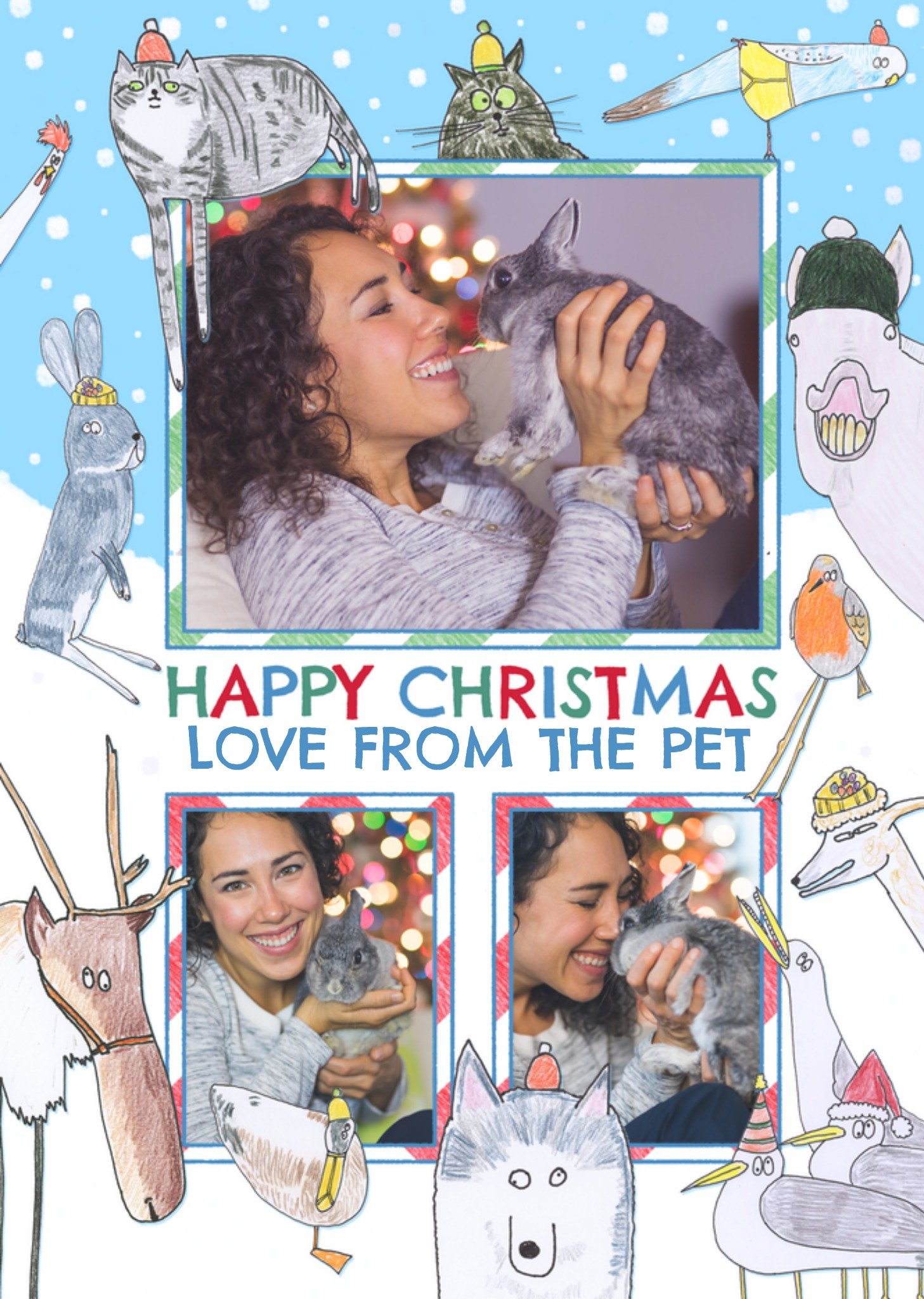 Hercule Van Wolfwinkle Happy Christmas Love From The Pets Photo Upload Card, Large