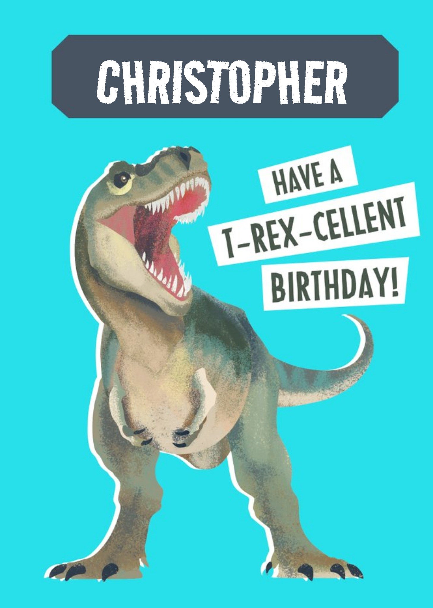 The Natural History Museum Natural History Museum Have A T-Rex-Cellent Birthday Card, Large