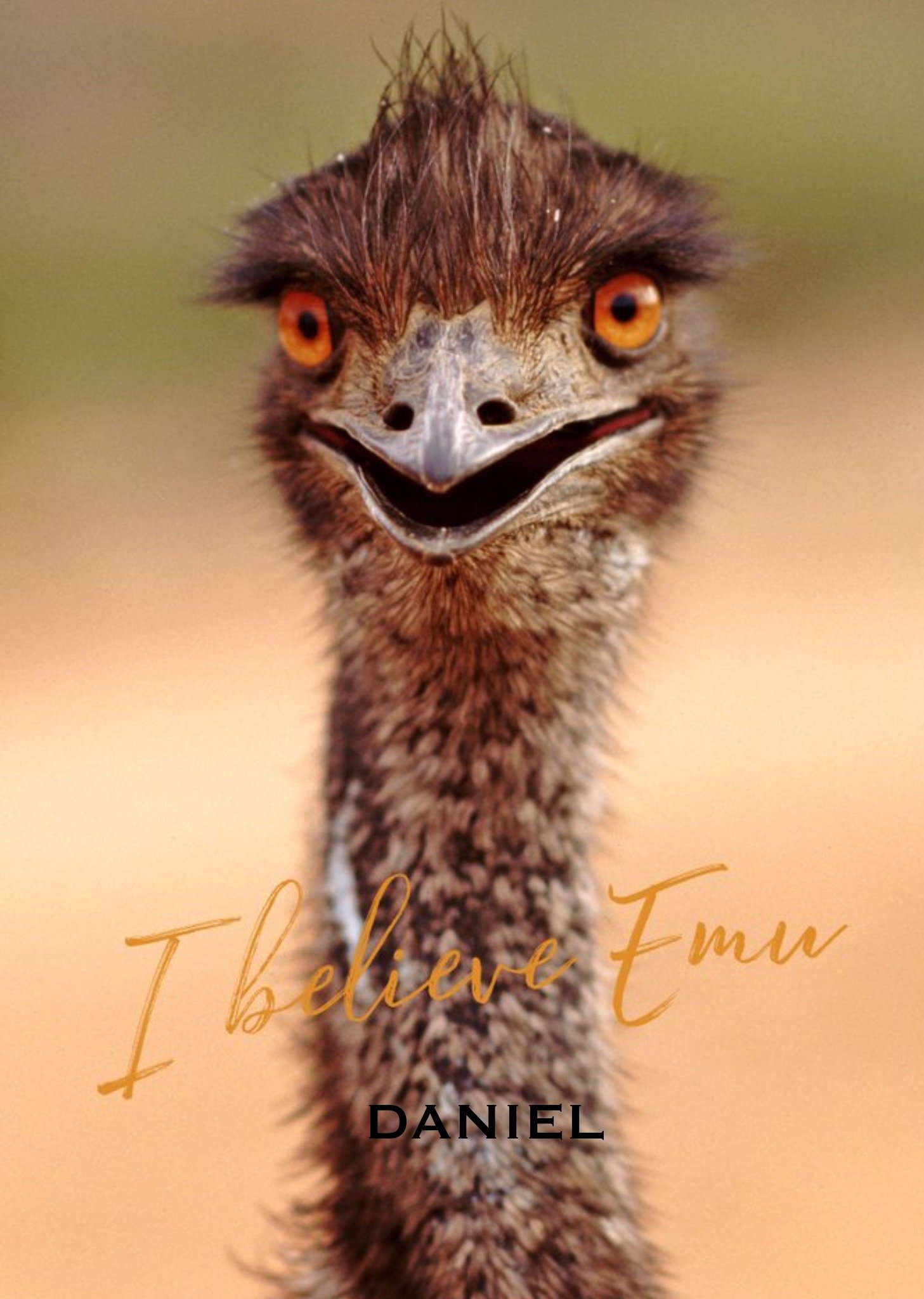 Photographic Emu Customisable I Believe In You Card Ecard