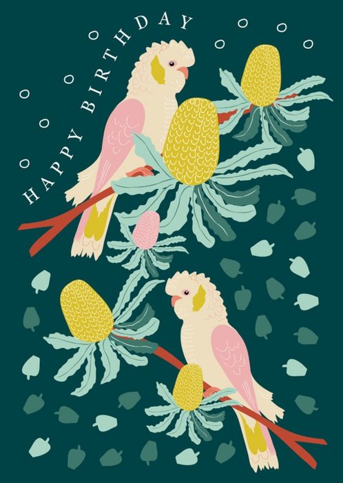 Picket + Vine Parrots Galah Cockatoo Happy Birthday Card