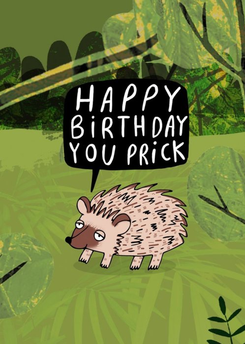 Illustrated Hedgehog Happy Birthday You Prick Birthday Card