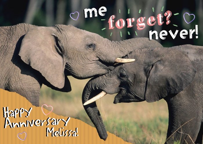 Nozzling Elephants Happy Anniversary Card