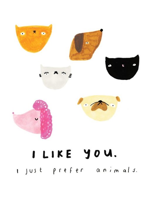 I Like You I Just Prefer Animals Birthday Card