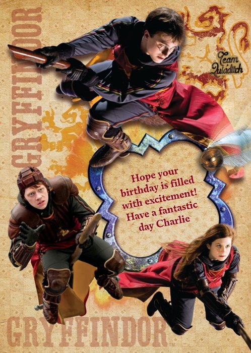 Harry Potter Gryffindor Quidditch Personalised Birthday Card