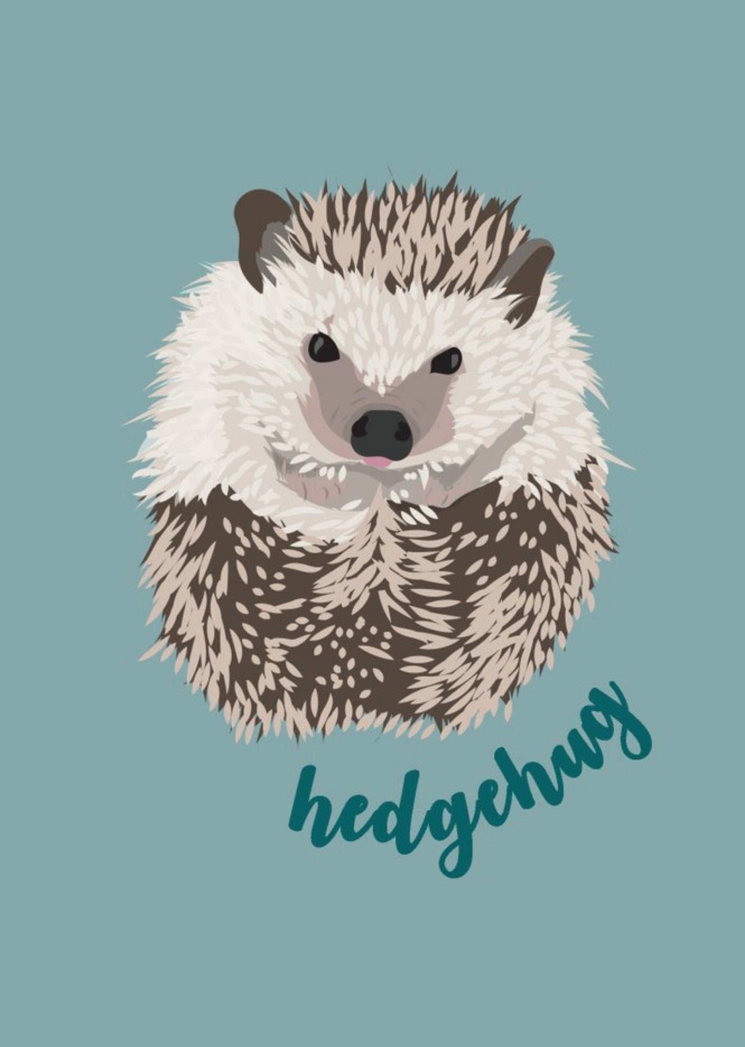 Illustrated Hedgehog Hug Pun Card Ecard