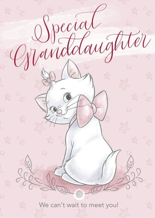 Disney Aristocats - Cute Granddaughter new baby card