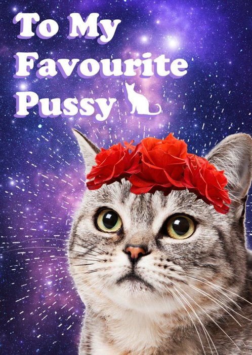 Funny To My Favourite Pussy Valentines Day Card