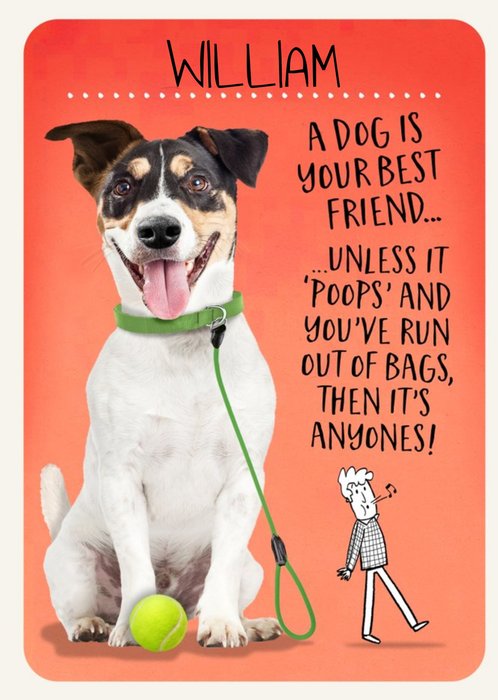 Funny A Dog Is Your Best Friend Birthday Card